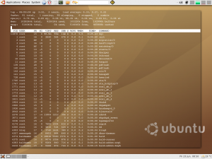 terminal in desktop background in Ubuntu